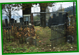 (6km) Židovský hřbitov v Nové Bystřici